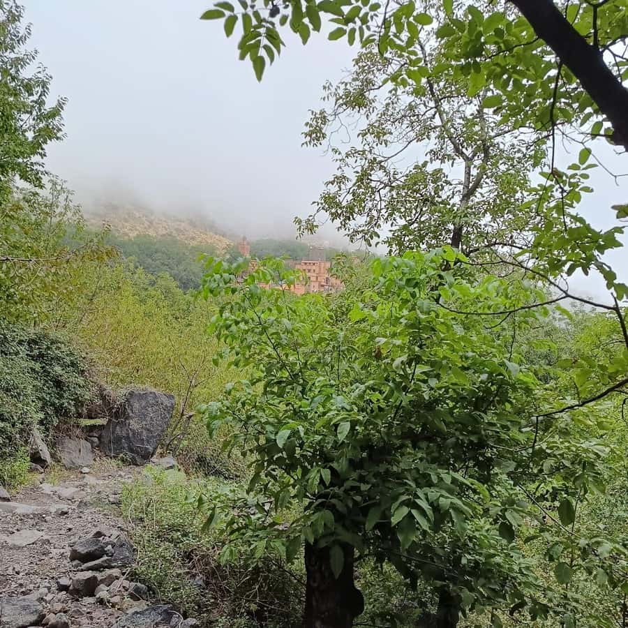 From Marrakech: Atlas Mountains Summit Trek - Who should book this Atlas Mountains day trip?