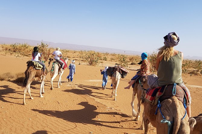 From Marrakech: Private Tour to Oasis and Trekking in the Desert of Erg Chigaga - Is $614.14 per person good value?
