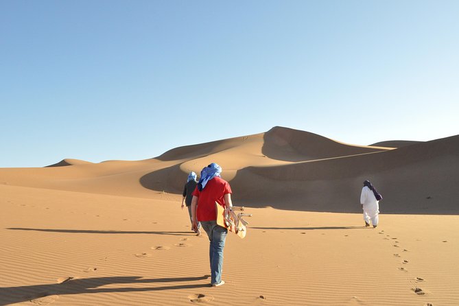 From Marrakech: Private Tour to Oasis and Trekking in the Desert of Erg Chigaga - Who should book this desert trip?