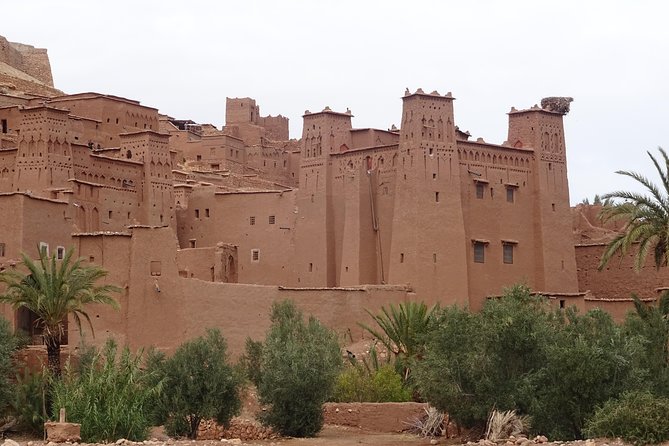 From Marrakech: Private Tour to Oasis and Trekking in the Desert of Erg Chigaga - Day three: Sunrise, camels, and lunch under tamarind trees