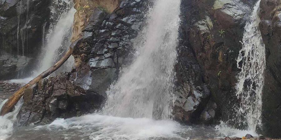 From Marrakech: Trek to Atlas Mountains, Full-Day Trip Lunch - Group size and guide quality