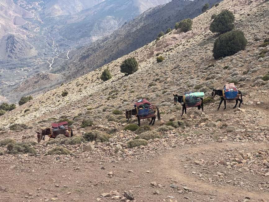 From Marrakech: Trek to Atlas Mountains, Full-Day Trip Lunch - Is $40 good value?