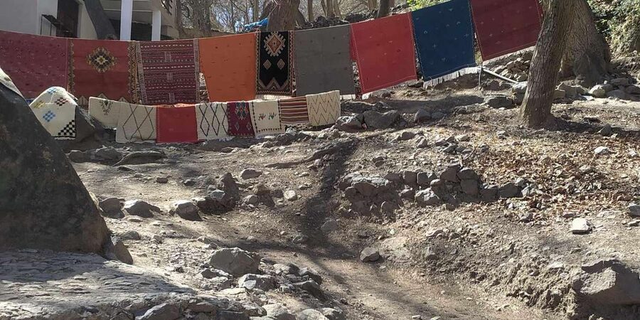 From Marrakech: Trek to Atlas Mountains, Full-Day Trip Lunch - The argan oil cooperative stop