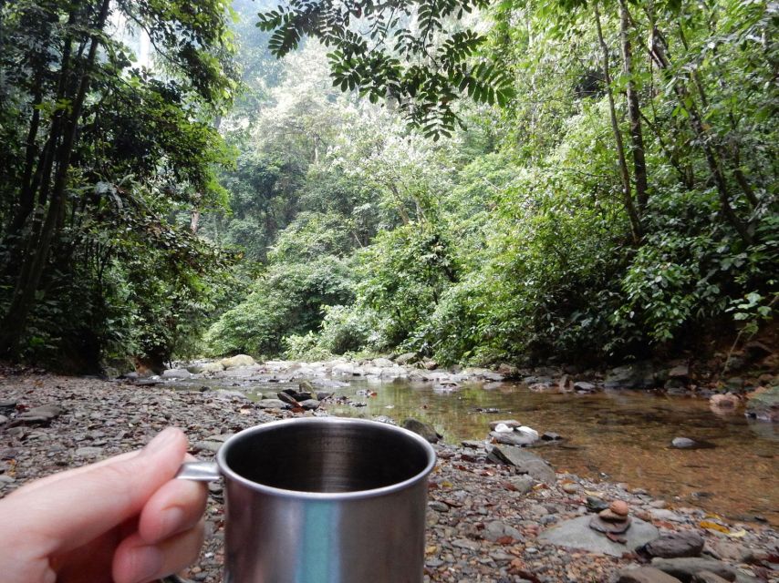 From Medan: 4 day tour to Bukit Lawang incl. jungle trek - Fruit breaks, jungle views, and lunch on the trail