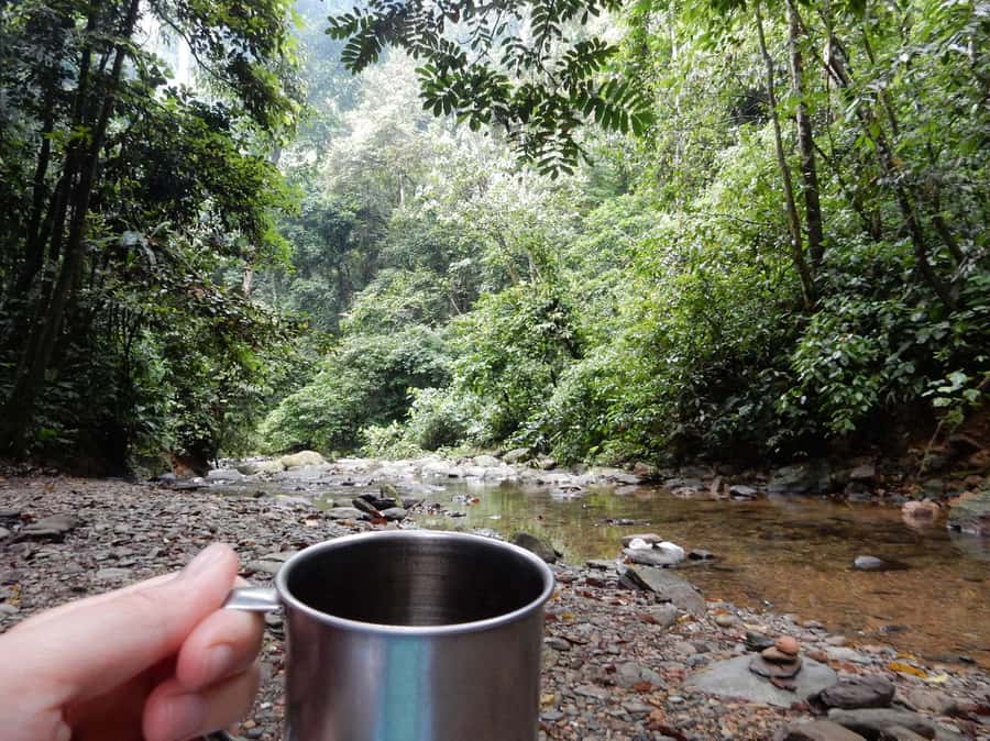 From Medan: 4 day tour to Bukit Lawang incl. jungle trek - A candlelit night beside the jungle river