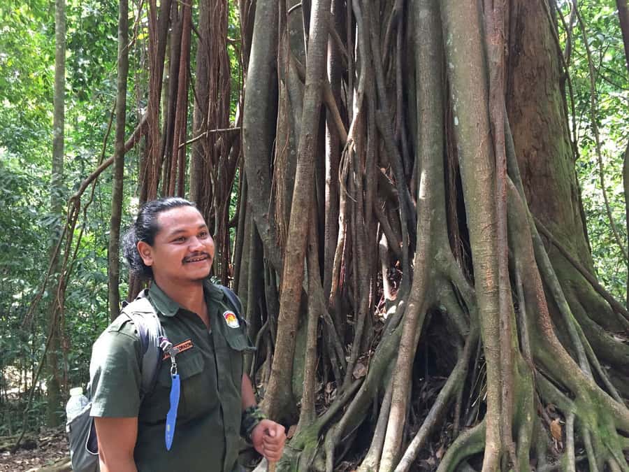 From Medan: 4 day tour to Bukit Lawang incl. jungle trek - Your Bukit Lawang base before and after the trek
