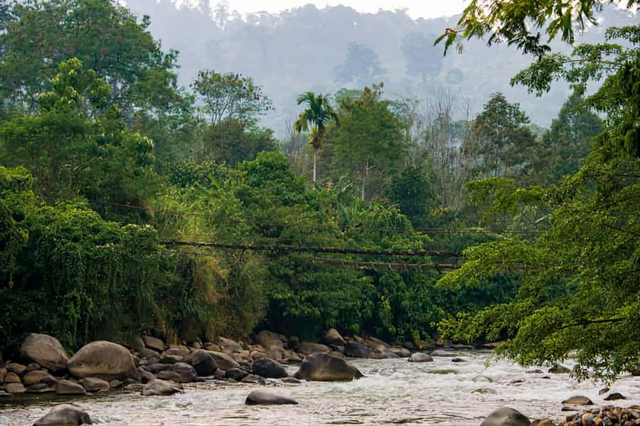 From Medan : Jungle Trekking for Orang Utan at Mount Leuser - Key points before you book