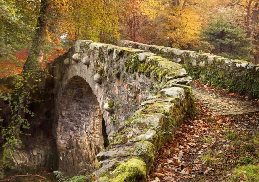 From Newcastle: Game of Thrones Tollymore Forest Trek - The bridge and the direwolf discovery