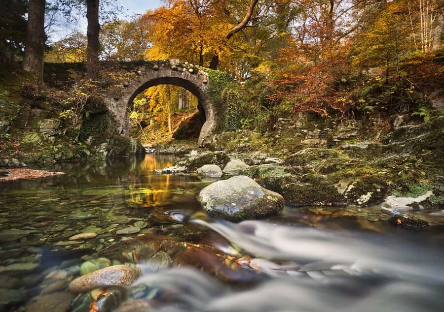 From Newcastle: Game of Thrones Tollymore Forest Trek - The guide can make or break the mood