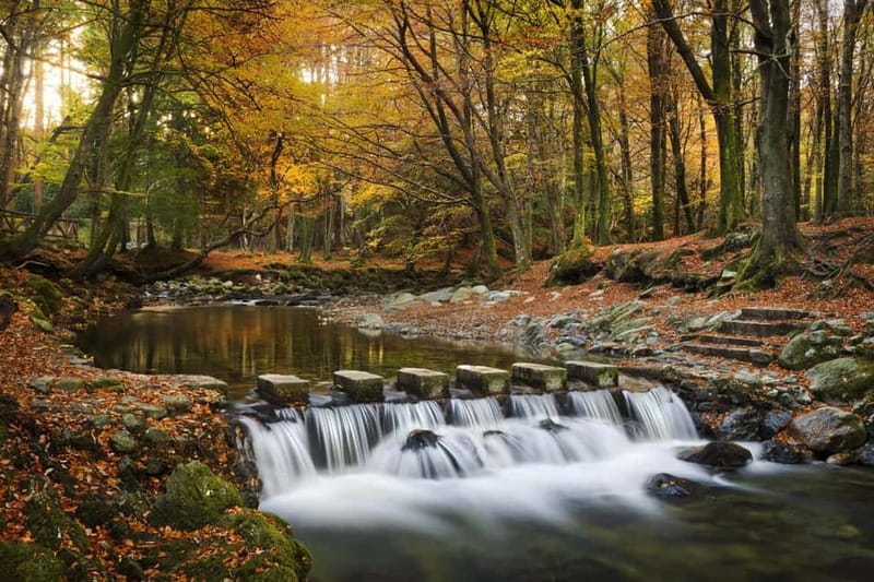 From Newcastle: Game of Thrones Tollymore Forest Trek - Meeting the coach beside the public toilets
