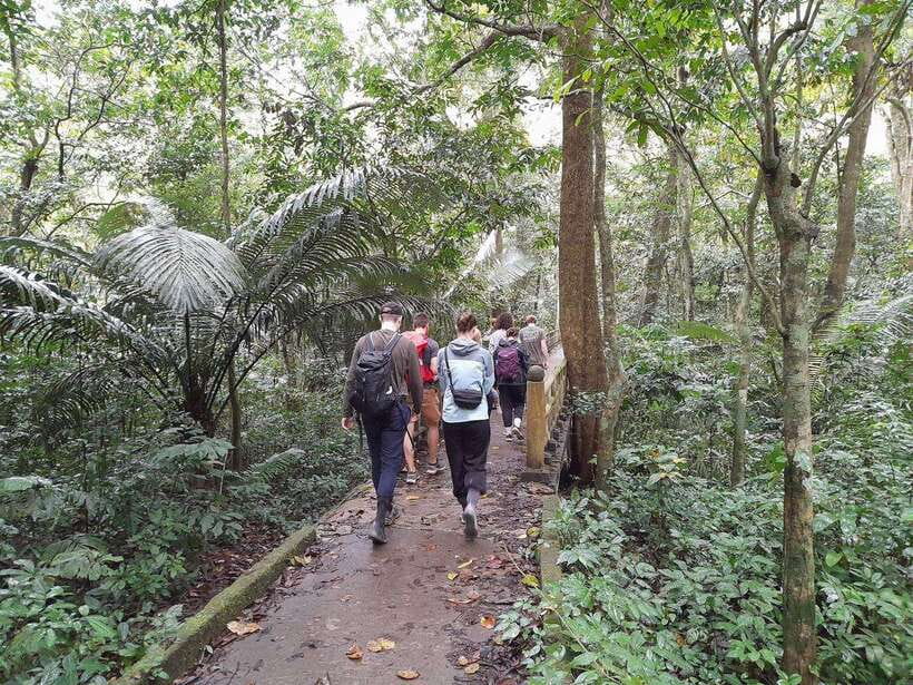 From Ninh Binh: Cuc Phuong National Park Trekking Day Tour - Reaching the Cave of Prehistoric Man