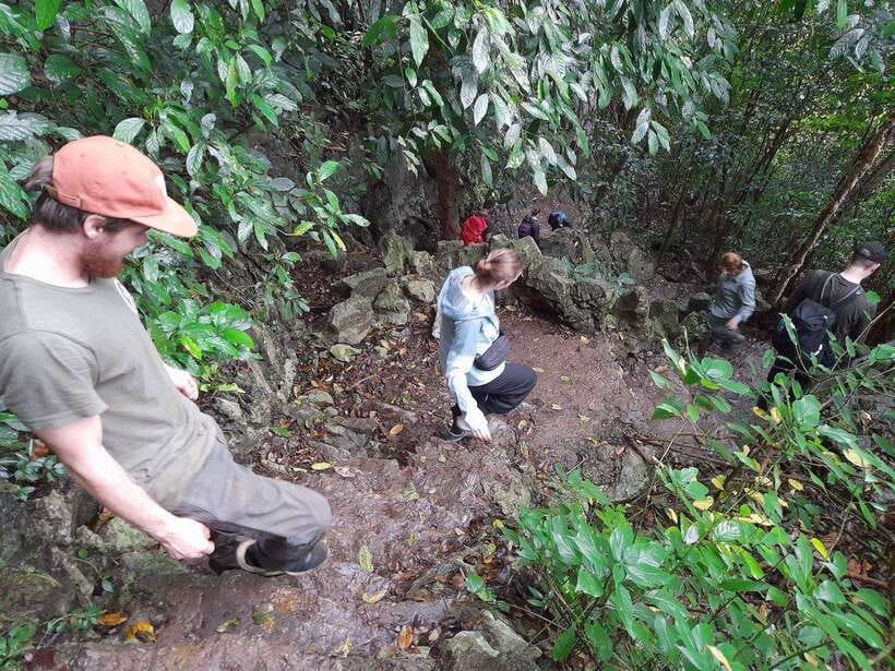 From Ninh Binh: Cuc Phuong National Park Trekking Day Tour - The return to Ninh Binh by 4:30 p.m.
