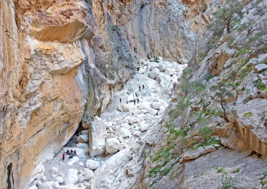 From Orosei or Dorgali: Trek to Gorropu with Panoramic Views - Should you book the Gorropu trek?