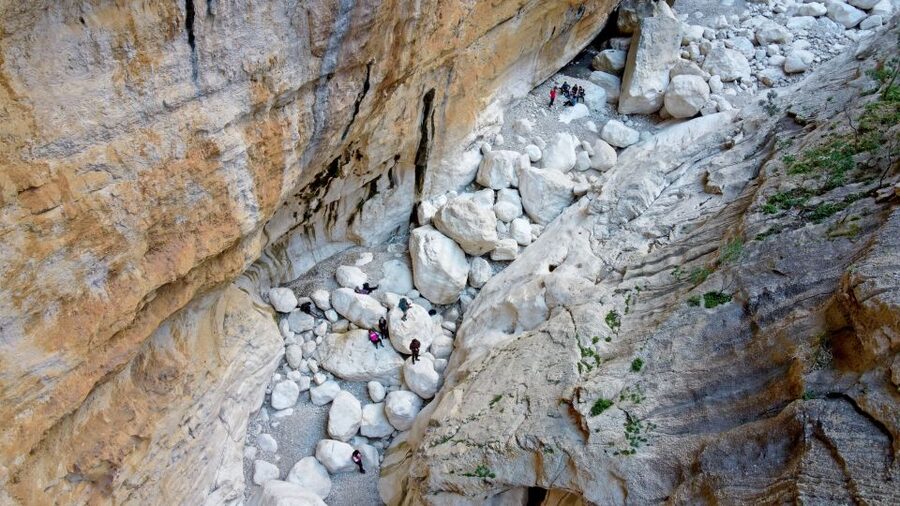 From Orosei or Dorgali: Trek to Gorropu with Panoramic Views - Five hours among boulders and old trees