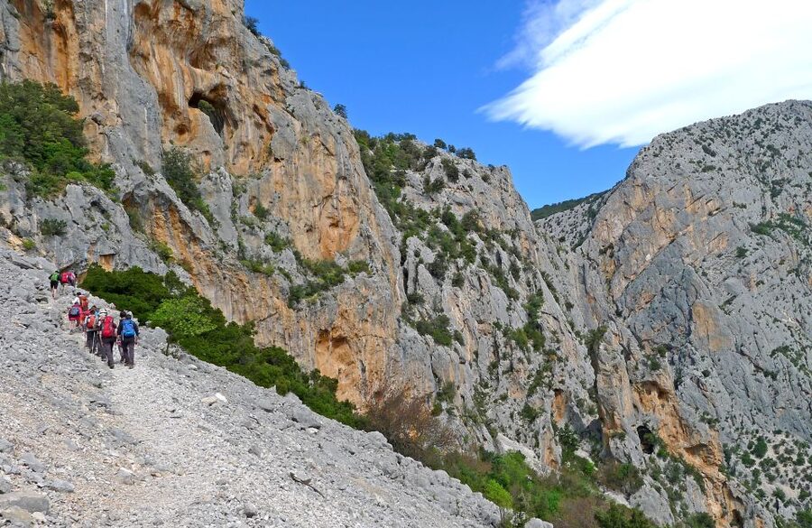From Orosei or Dorgali: Trek to Gorropu with Panoramic Views - Is $77 a fair price?