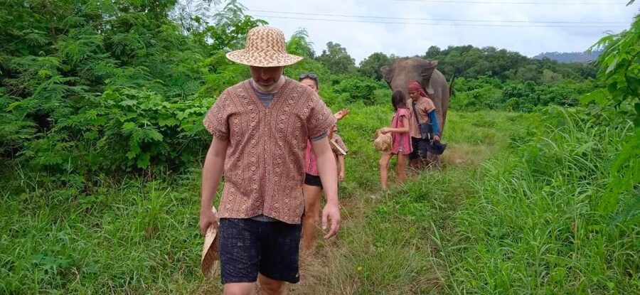 From Phuket: Ethical Elephant Interactive Trek and Tour - Thai food at about 11 AM