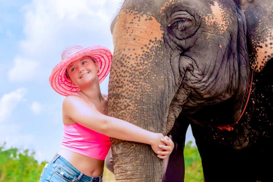 From Phuket: Ethical Elephant Interactive Trek and Tour - Getting muddy at the elephant spa