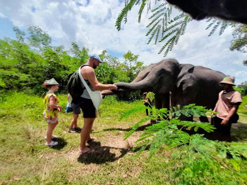From Phuket: Ethical Elephant Interactive Trek and Tour - Bathing and swimming in the nearby river