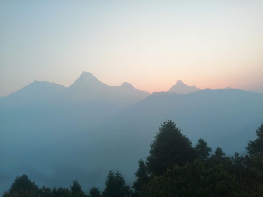 From Pokhara: 10-Day Poon Hill and Annapurna Base Camp Trek - Day two: Ulleri’s stone steps and Ghorepani