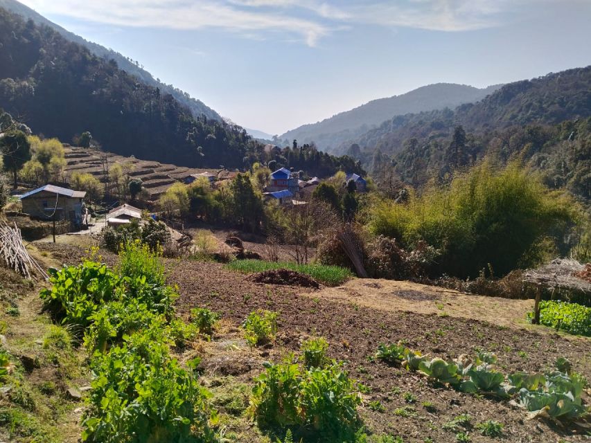 From Pokhara: 10-Day Poon Hill and Annapurna Base Camp Trek - Day three: Poon Hill sunrise and Tadapani
