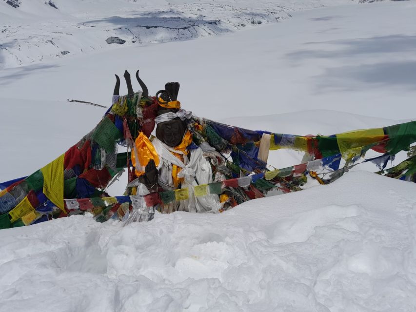 From Pokhara: 10-Day Poon Hill and Annapurna Base Camp Trek - Day seven: Deurali to Annapurna Base Camp