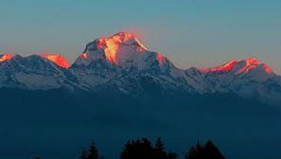 From Pokhara: 3 Day Amazing Ghandruk Poon Hill Trek - Day Two: Six Hours Through Forest to Ghorepani