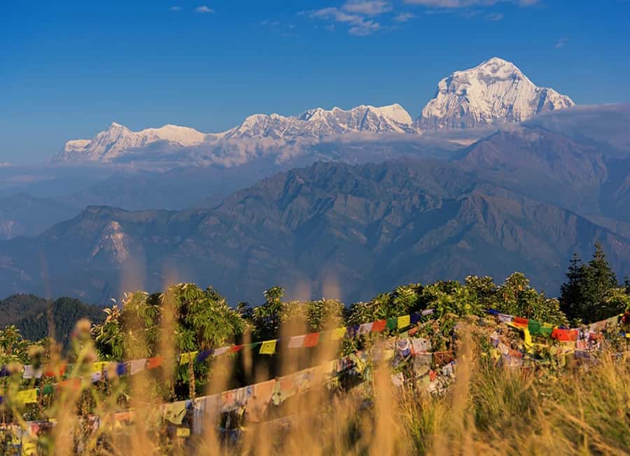 From Pokhara: 3-Day Ghorepani Poon Hill Trek with Guide - Who should book this trek?