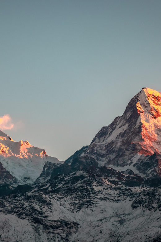 From Pokhara: 3-Day Ghorepani Poonhill Short Trek - Day 2: Oak forest, rhododendrons, and Ghorepani