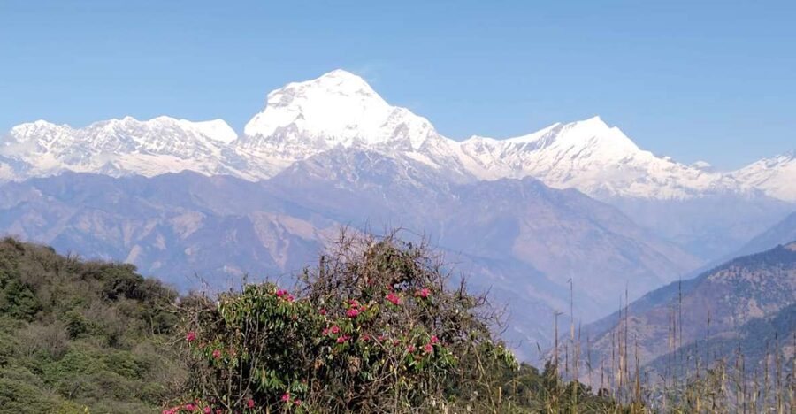 From Pokhara: 4-Day Annapurna and Poon Hill Himalayan Trek - Key points at a glance