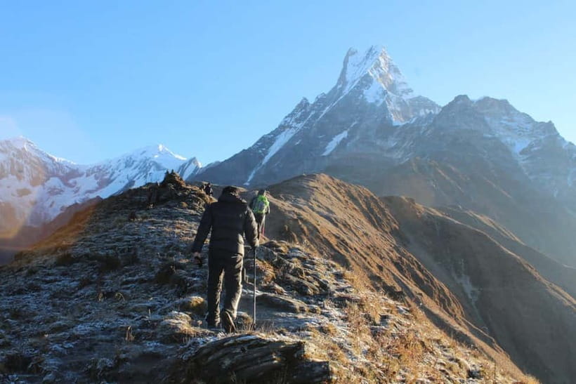 From Pokhara: 4-Day Mardi Himal Base Camp Trek - Day 2: Forest Camp to High Camp