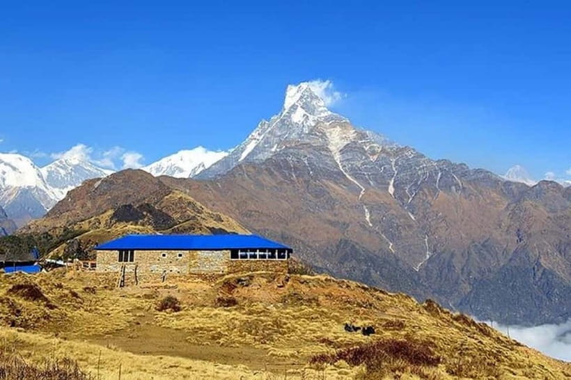 From Pokhara: 5-Day Mardi Himal Base Camp Trek - What $181 includes, and what it may not