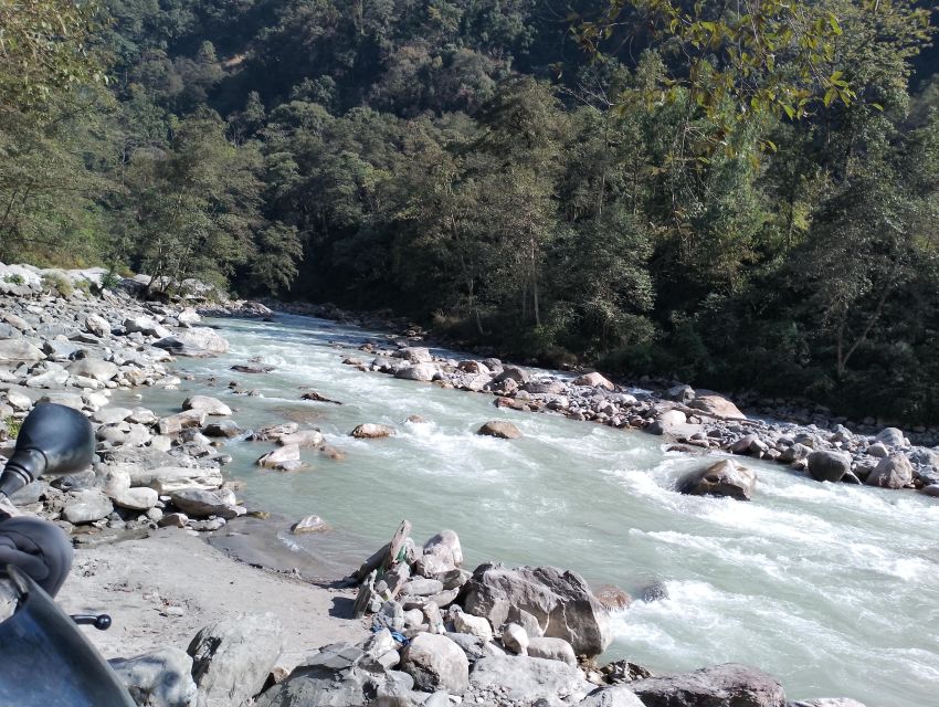 From Pokhara: 7 Days Budget backpackers group ABC Trek - Day four: Deurali to Machhapuchhre Base Camp and ABC