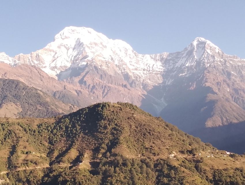 From Pokhara: 7 Days Budget backpackers group ABC Trek - Day five: The long return through Deurali and Bamboo