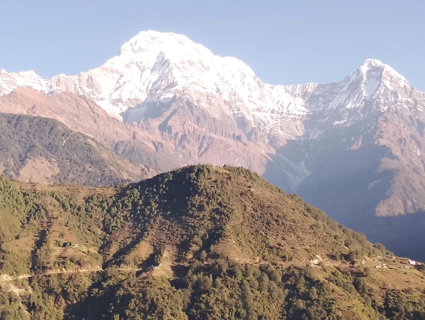 From Pokhara: 7 Days Budget backpackers group ABC Trek - Day six: Sinuwa, Chhomrong, Jhinu, and Kyumi