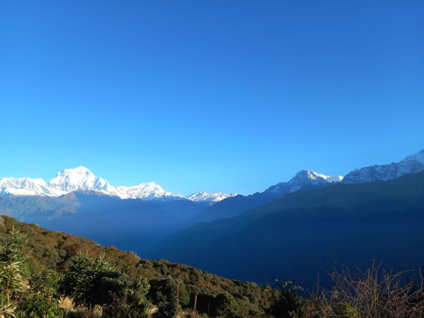From Pokhara: Australian Camp & Dhampus 1, or 2-Day Trek - Why Australian Camp works so well from Pokhara