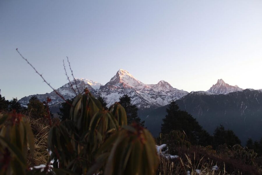 From Pokhara Budget: 2 Day 1 Night Ghorepani Poon Hill Trek - A night at Ghorepani