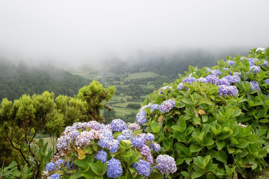 From Ponta Delgada: Vista do Rei to Sete Cidades Guided Trek - Starting high above Sete Cidades
