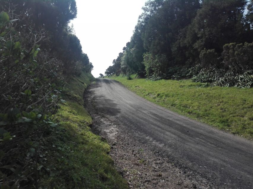 From Ponta Delgada: Vista do Rei to Sete Cidades Guided Trek - Escalvado and the northwest coast