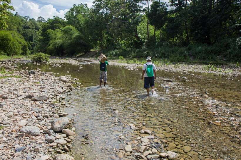 From Puerto Princesa: Trek to Batak Tribe Village - Key points to know before you go