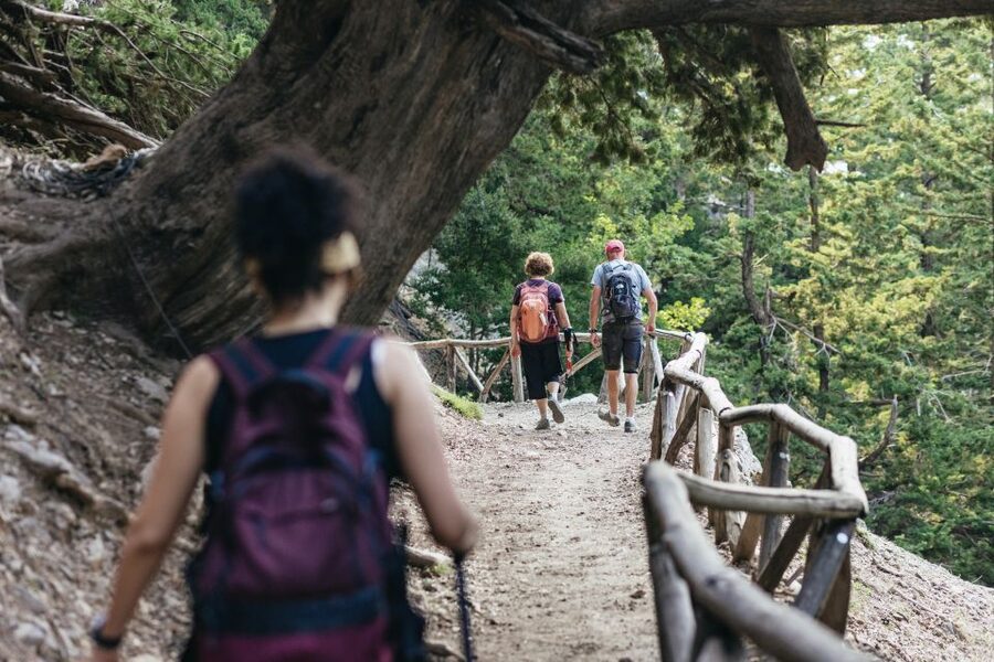 From Rethymno: Samaria Gorge Full-Day Trek, Pickup & Guide - Forest, springs, and the wild heart of the gorge