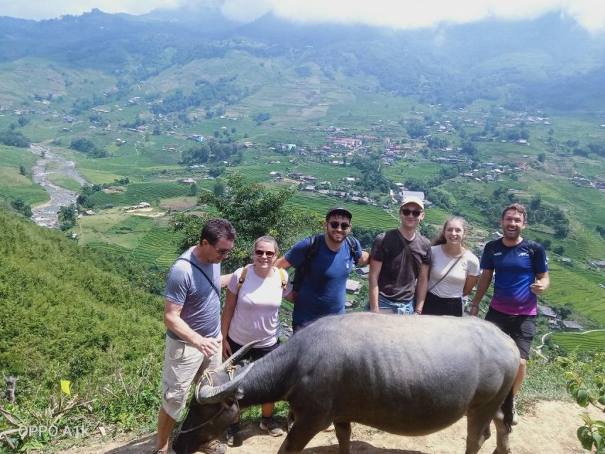 From Sapa : 1 Day Amazing Sapa Trek To Terrace rice field - From town streets to working farm terraces