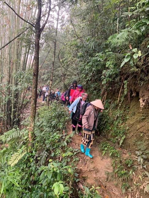 From Sapa : 1 Day Amazing Sapa Trek To Terrace rice field - The shuttle back to Sapa