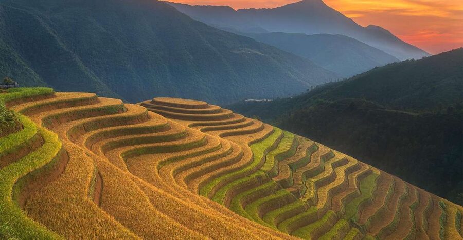 From Sapa: 1-Day Guided Trek to Lao Chai & Ta Van with Lunch - Key points at a glance