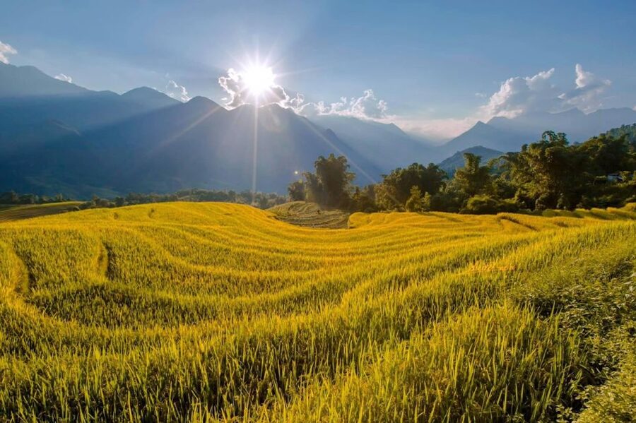 From Sapa: 1-Day Guided Trek to Lao Chai & Ta Van with Lunch - What the guide adds to the day
