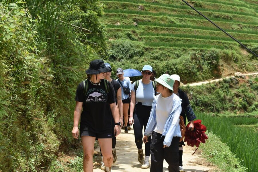 From Sapa: 1-Day Trekking through Terraces Rice Fields - Lao Chai at noon: lunch beside the terraces