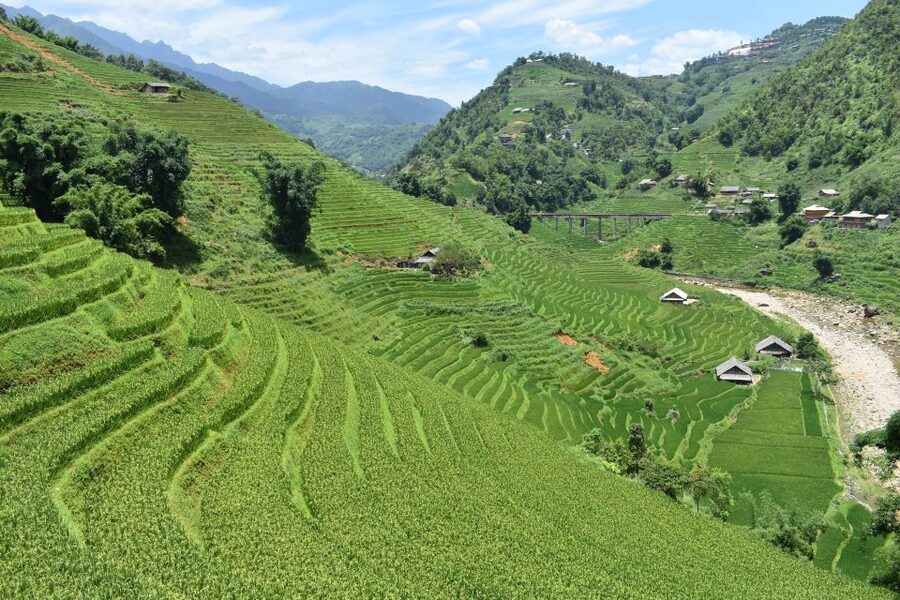 From Sapa: 1-Day Trekking through Terraces Rice Fields - 2:30 return: useful transport after a long walk