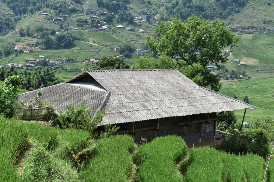 From Sapa: 1-Day Trekking through Terraces Rice Fields - What the $36 price really covers