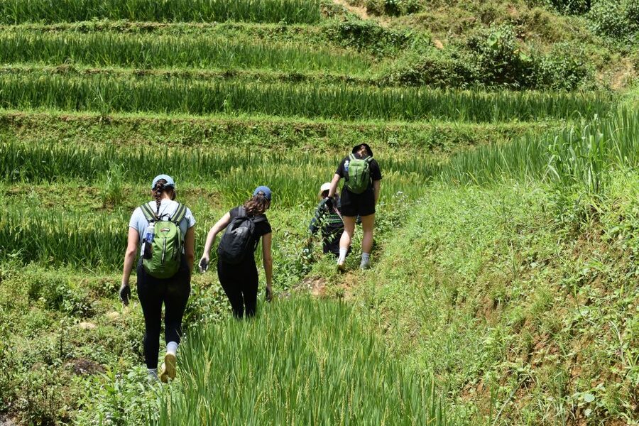 From Sapa: 1-Day Trekking through Terraces Rice Fields - Who should book this walk?
