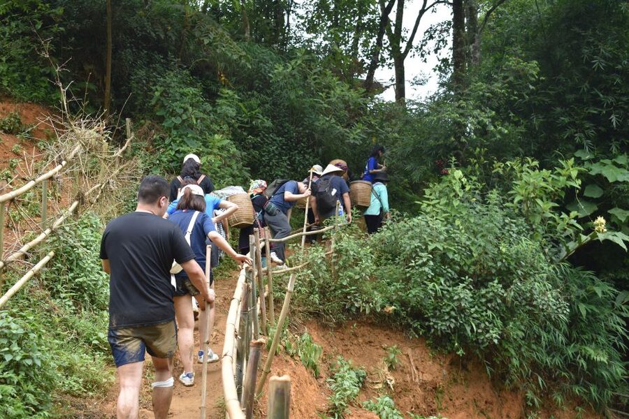 From Sapa: 1-Day Trekking through Terraces Rice Fields - Practical tips for a smoother day