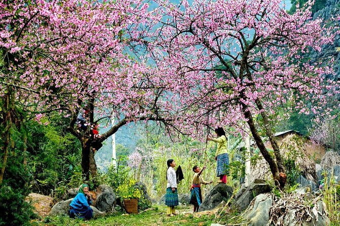 From Sapa: 2 Days 1 Night Trek Over Night At Homestay - Why this Sapa trek works well